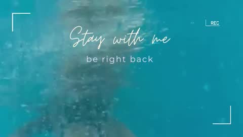 Lily online show from 09/22/25, 05:42