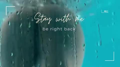 Lily online show from 12/21/25, 06:31