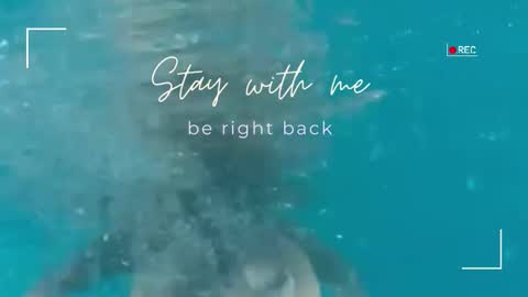 Lily online show from 02/04/26, 06:08