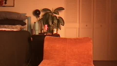 Little Lily online show from 06/19/26, 04:39