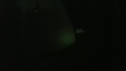 lily lovelyman online show from 12/26/24, 04:53