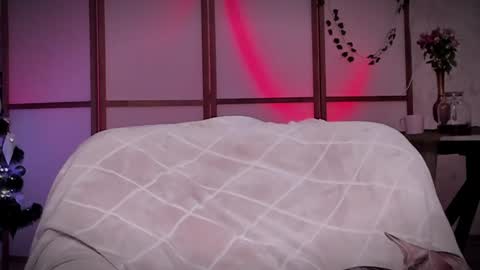 Lina -  online show from 12/16/24, 11:44