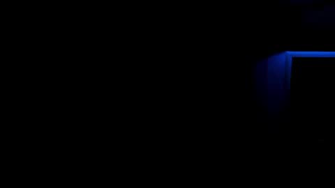 Snapshot of lina_vi chatting on 12/21/24, 05:47 Lina online show from 12/21/24, 05:47