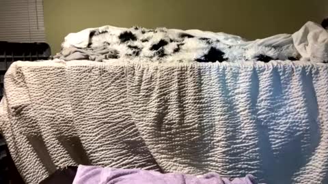 Richie Rich online show from 12/13/24, 07:10