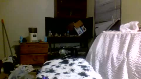 Richie Rich online show from 12/30/24, 08:15