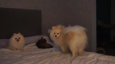 Snapshot of lindaaii chatting on 05/05/26, 01:30 Linda online show from 05/05/26, 01:30