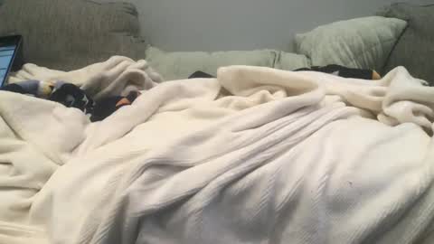 lingeriesissy12 online show from 02/13/25, 11:04