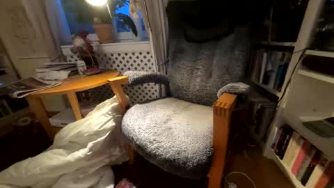 Snapshot of lingonkuk chatting on 11/25/25, 06:35 lingonkuk online show from 11/25/25, 06:35