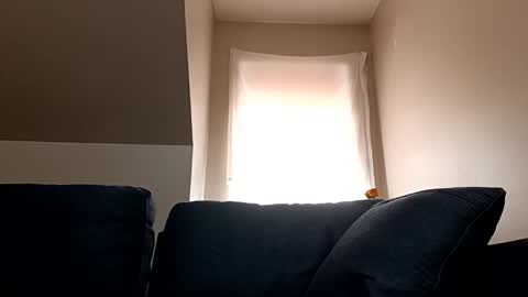 Snapshot of linkutome chatting on 01/12/25, 06:16 linkutome online show from 01/12/25, 06:16