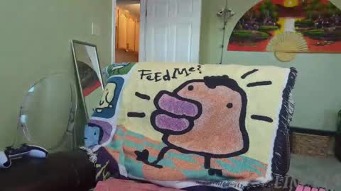 Snapshot of linzy19 chatting on 09/22/25, 01:24 Linzy19 online show from 09/22/25, 01:24