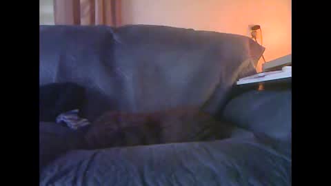 lion160868 online show from 01/18/26, 09:13