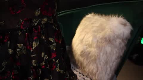 Snapshot of lireesa chatting on 02/20/25, 04:18 Lire online show from 02/20/25, 04:18