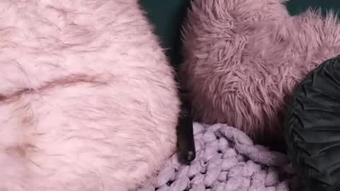 Snapshot of lireesa chatting on 10/02/25, 04:52 Lire online show from 10/02/25, 04:52