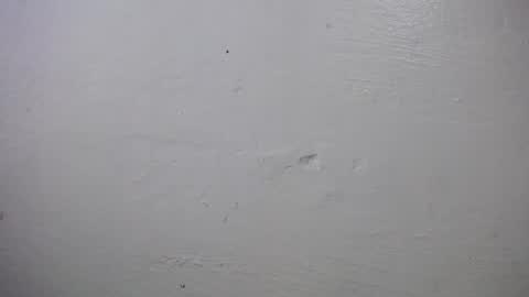 Snapshot of lisa_branch chatting on 10/04/25, 10:24 lisa_branch online show from 10/04/25, 10:24