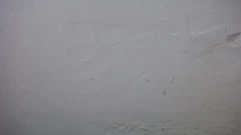 Snapshot of lisa_branch chatting on 11/23/25, 10:37 lisa_branch online show from 11/23/25, 10:37