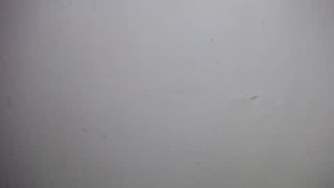 Snapshot of lisa_branch chatting on 12/18/25, 10:54 lisa_branch online show from 12/18/25, 10:54