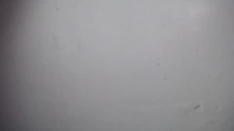 Snapshot of lisa_branch chatting on 12/19/25, 11:06 lisa_branch online show from 12/19/25, 11:06