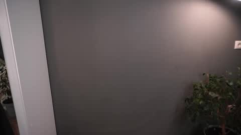 Elisabeth or Lisa online show from 11/26/25, 08:21