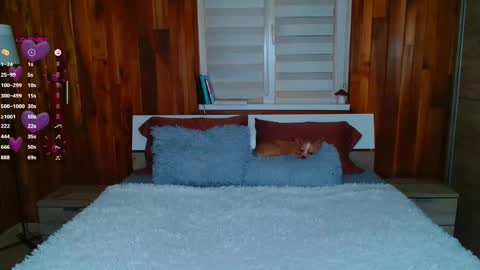 Lisa online show from 02/11/25, 10:39