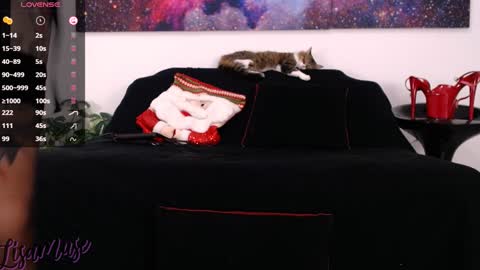 Snapshot of lisamusee chatting on 12/24/24, 07:11 Lisamuse online show from 12/24/24, 07:11