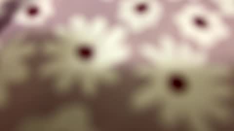 litos666 online show from 02/24/26, 04:32