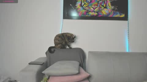 Independent model carolina online show from 03/11/25, 09:26