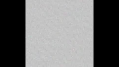 Adaline online show from 02/09/26, 05:33