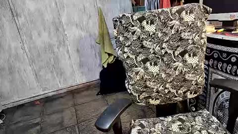 little_savage online show from 03/25/26, 02:06