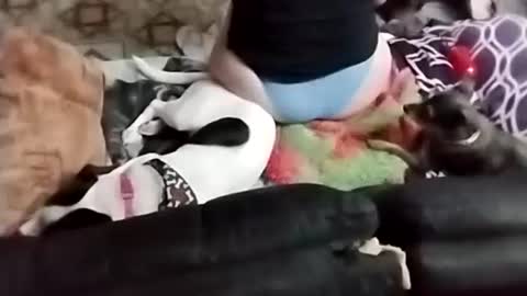 Sady Jayne online show from 09/22/25, 02:24