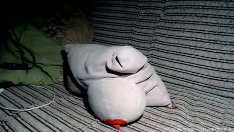 Malej Kmo online show from 02/17/26, 12:40