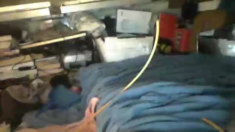 littlejay             littlejay online show from 10/04/25, 07:17