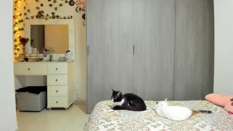 Snapshot of littlemoon18 chatting on 03/29/26, 10:21 Luna online show from 03/29/26, 10:21