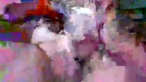 litwinpaweel online show from 04/14/26, 07:42