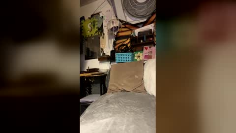 livpiper online show from 04/29/26, 05:41