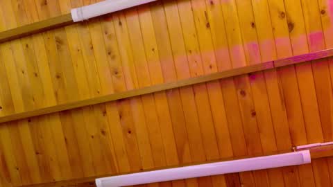  LIZBETH ROSS  online show from 01/12/26, 10:20