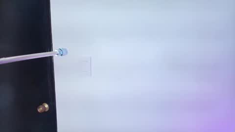 Lizz  online show from 02/06/25, 11:54