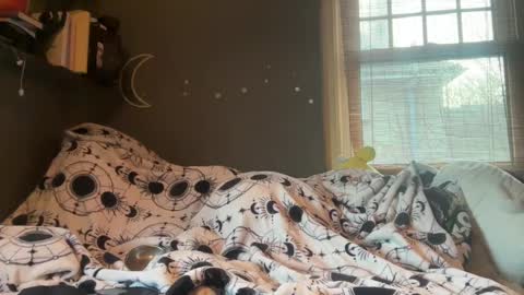 lizzybunny online show from 03/05/25, 04:57