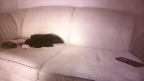 Snapshot of lms_celebi chatting on 09/18/25, 04:25 lms_celebi online show from 09/18/25, 04:25