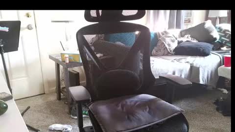 LongDick Daddy online show from 11/14/25, 07:56