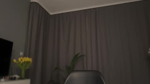 Lolla online show from 03/14/26, 01:44