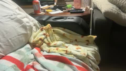 logical12345 online show from 12/01/25, 03:22