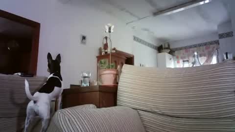 LOLA HUESO y ERIC online show from 10/06/25, 08:12