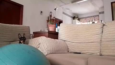 LOLA HUESO y ERIC online show from 10/17/25, 08:06