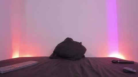 Lola online show from 01/05/25, 08:00