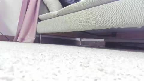 Lolla online show from 11/04/25, 05:50