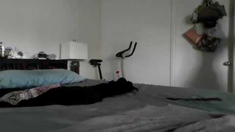 LondonMariexxx online show from 11/16/25, 08:47