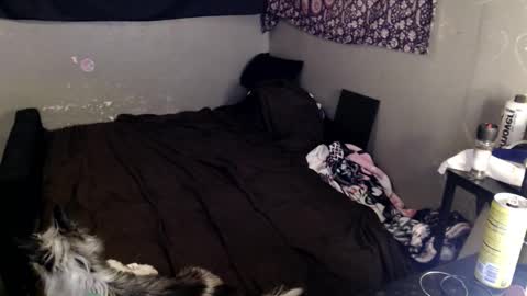 londonray online show from 03/08/26, 08:23