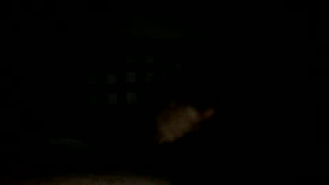 Handsome Cock online show from 11/14/25, 07:34