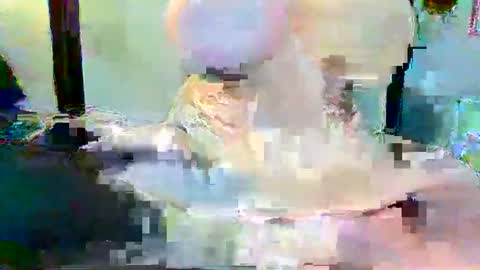 Long Dong91 online show from 01/03/25, 05:10