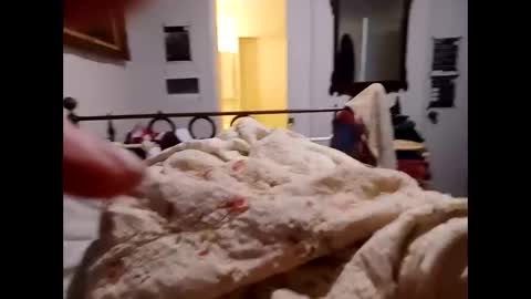 Snapshot of longarchrrr chatting on 10/16/25, 11:33 longarchrrr online show from 10/16/25, 11:33